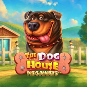The Dog House Megaways slot at BC Game